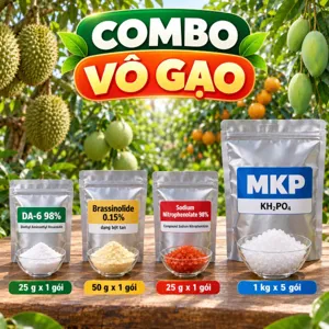 COMBO VÔ GẠO – Bộ phối trộn tham khảo phun lá lúa sau trổ, giữ lá đòng xanh trong giai đoạn ngậm sữa – vào chắc