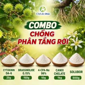 Hình bộ phối trộn COMBO CHỐNG PHÂN TẦNG RỜI (CVGREEN)