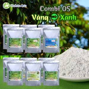 Hình bộ phối trộn COMBO COMBI 05 (CVGREEN)