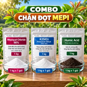 COMBO CHẶN ĐỌT MEPI – Bộ phối trộn tham khảo kìm đọt mức nhẹ bằng mepiquat, bổ sung kali và silic