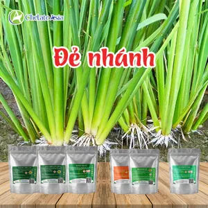 Hình bộ phối trộn COMBO ĐẺ NHÁNH (BRASS-DA6) (CVGREEN)