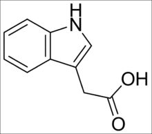 Công thức cấu tạo 3-Indole acetic acid