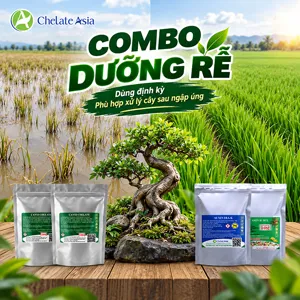 Hình bộ phối trộn COMBO DƯỠNG RỄ (CVGREEN)