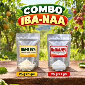 COMBO IBA-NAA – Bộ phối trộn tham khảo hai auxin cho giâm hom, chiết cành và tưới kích rễ
