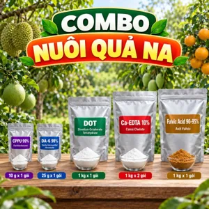 COMBO NUÔI QUẢ NA – Bộ phối trộn tham khảo phun mãng cầu (na) lúc quả non đang phân chia tế bào