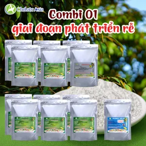 Hình bộ phối trộn COMBO COMBI 01 (CVGREEN)