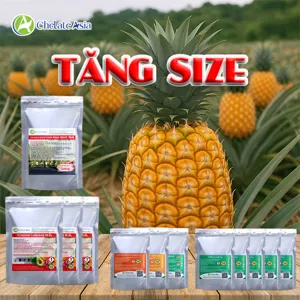 Hình bộ phối trộn COMBO TĂNG SIZE TRÁI (CVGREEN)