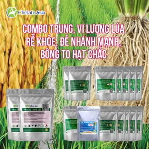 Hình bộ phối trộn COMBO TRUNG, VI LƯỢNG LÚA (CVGREEN)