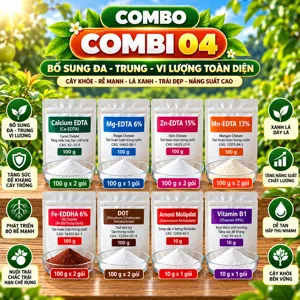 COMBO COMBI 04 – Bộ phối trộn tham khảo trung, vi lượng cho cây có múi giai đoạn nuôi trái