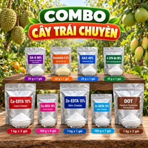 COMBO CÂY TRÁI CHUYỀN – Bộ phối trộn tham khảo cho cây vừa mang hoa vừa nuôi trái non, kèm Ca, Zn, Bo chelate