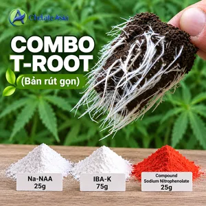 Hình bộ phối trộn COMBO T-ROOT (rút gọn) (CVGREEN)