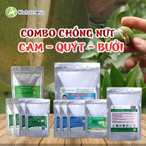 Hình bộ phối trộn COMBO NỨT TRÁI CAM, QUÝT, BƯỞI (CVGREEN)