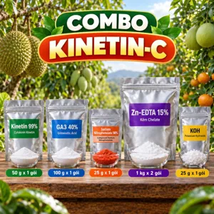 COMBO KINETIN-C – Bộ phối trộn tham khảo dùng Kinetin và GA3 cho lứa chồi, đọt mới giai đoạn sinh dưỡng