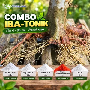 Hình bộ phối trộn COMBO IBA-TONIK (CVGREEN)