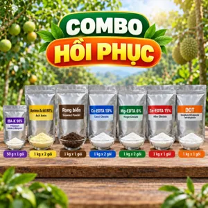 COMBO HỒI PHỤC – Bộ phối trộn tham khảo dựng lại bộ rễ và nuôi tán mới cho cây lâu năm sau thu hoạch