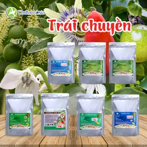 Hình bộ phối trộn COMBO CÂY TRÁI CHUYỀN (CVGREEN)
