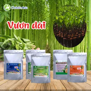 Hình bộ phối trộn COMBO VƯƠN DÀI (CVGREEN)