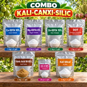 COMBO KALI-CANXI-SILIC – Bộ phối trộn tham khảo dinh dưỡng vỏ và mô trái trong mùa nuôi trái