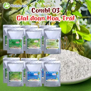 Hình bộ phối trộn COMBO COMBI 03 (CVGREEN)