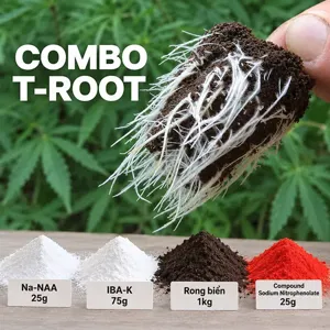 Hình bộ phối trộn COMBO T-ROOT (CVGREEN)