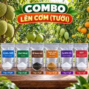 COMBO LÊN CƠM (TƯỚI) – Bộ phối trộn tham khảo tưới gốc bổ sung Kali, Canxi, Bo, Silic cho sầu riêng đang nuôi trái