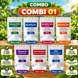 COMBO COMBI 01 – Bộ phối trộn tham khảo trung, vi lượng chelate cho giai đoạn cây ra rễ mới
