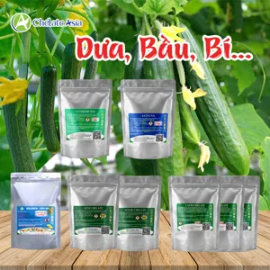 Hình bộ phối trộn COMBO ĐẬU TRÁI DƯA, BẦU, BÍ (CVGREEN)