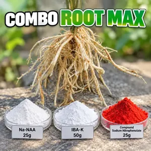 Hình bộ phối trộn COMBO ROOTMAX (CVGREEN)