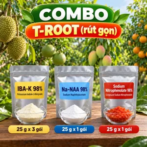 COMBO T-ROOT (rút gọn) – Bộ phối trộn tham khảo chỉ gồm nhóm hoạt chất tạo rễ, dùng tưới gốc, giâm hom, chiết cành