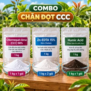 COMBO CHẶN ĐỌT CCC – Bộ phối trộn tham khảo hãm đọt non, làm già cơi lá, ổn định tán kèm bổ sung kẽm