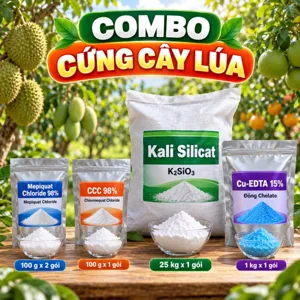 COMBO CỨNG CÂY LÚA – Bộ phối trộn tham khảo hãm vươn lóng gốc, bổ sung silic, kali, đồng giúp thân lúa chắc, ít đổ ngã