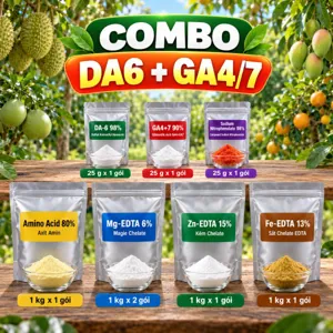 COMBO DA6 + GA4/7 – Bộ phối trộn tham khảo cho cây bật chồi đều, vươn cành mập và mở rộng tán lá