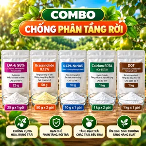 COMBO CHỐNG PHÂN TẦNG RỜI – Bộ phối trộn tham khảo giữ hoa, trái non qua đợt rụng sinh lý, kèm canxi và bo