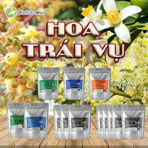 Hình bộ phối trộn COMBO RA HOA TRÁI VỤ (CVGREEN)