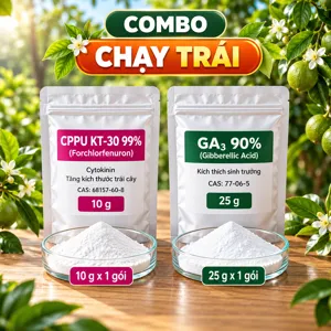 COMBO CHẠY TRÁI – Bộ phối trộn tham khảo CPPU và GA3 hỗ trợ trái non lớn nhanh sau đậu trái