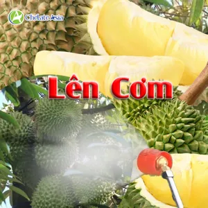 Hình bộ phối trộn COMBO LÊN CƠM (PHUN) (CVGREEN)