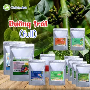 Hình bộ phối trộn COMBO DƯỠNG TRÁI (Full) (CVGREEN)